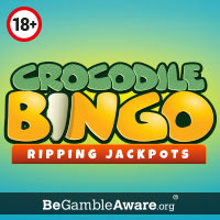 Crocodile Bingo